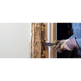 American Exterminating Services Inc. - Pest Control in Cranston