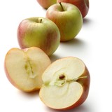 Mantrose-Haeuser R&D - Insurance in Lincoln