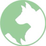 K-9 Connection - Pet Services in Warwick