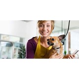 A Dog's Day Out Inc - Pet Groomers in Greenville