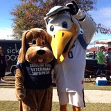 Kristick Kevin DVM - Veterinarians/Vets in Myrtle Beach