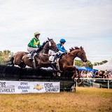 Charleston Cup - Restaurants in Hollywood