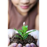 Grayson South LLC - Lawn Services in Fort Mill
