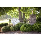 Lenora's Legacy - Other in Campobello