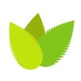 Stoneavenue Acupuncture - Acupuncture in Greenville