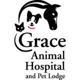 Grace Animal Hospital & Pet - Veterinarians/Vets in Lexington