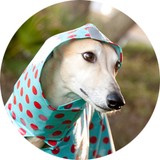 Tree Parlor - Restaurants in Greenville