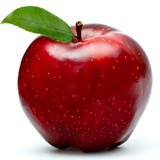 Apple & Associates - Other in Chapin