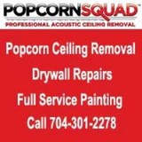 Popcorn Squad - Drywall Installation & Repair in Fort Mill