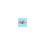 Palmetto Pregnancy Center - Other in Clover