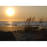Seabrook Island Poa Comm Center - Other in Johns Island