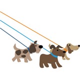 Tara's Grooming Boarding and Daycare - Pet Groomers in Beaufort