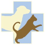 Julie Reck Dvm - Veterinarians/Vets in Fort Mill