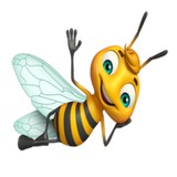 busybeezcleaning - Cleaning Services in Greer