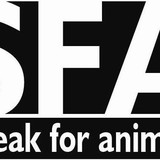 Speak For Animals - Pet Services in Greenville