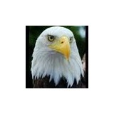 BNInspired Consulting Services Etc - Advertising in Greenville