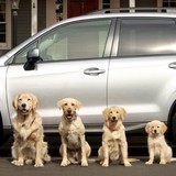 Mcdanlels Subaru of Columbia - Used Car Dealers in Columbia