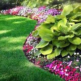 Roundabout Landscapes - Landscaping in Roebuck