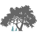 Park West Veterinary Assoc - Veterinarians/Vets in Mount Pleasant