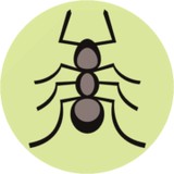 Pest Managements Systems - Pest Control in Lexington