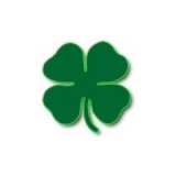 Clover Glass Inc - Other in Clover