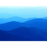 Carlton Roofing CO - Roofing in Greenville