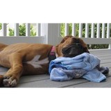 All Creatures Great & Sm Inc - Veterinarians/Vets in Greenville