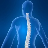 Park Circle Chiropractic - Chiropractors in North Charleston