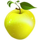 Apple A Day & Beyond - Wholesale in Greenville