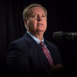 Lindsey Graham For Senate - Other in Irmo
