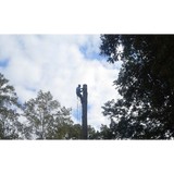 Tree Dimensions - Tree Services in Spartanburg