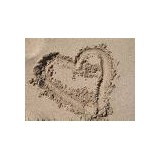 Holiday Sands At South Beach - Hotels in Myrtle Beach