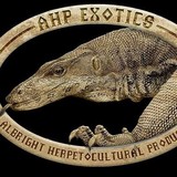 Ahp Exotics - Other in Moncks Corner