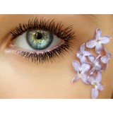 Landscaping By Marcy - Landscaping in Conway