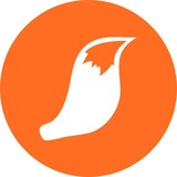 Swamp Fox Digital - Marketing in Charleston