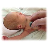 Weaver Robert C MD - Doctors in Mount Pleasant