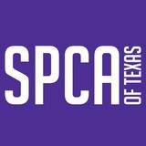 Spca - Other in Orangeburg