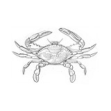 Alexander's Seafood Restaurant - Restaurants in Hilton Head Island