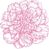 JVM Events LLC - Wedding Planning in Mount Pleasant