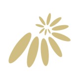 Nautilus Capital LLC - Other in Mauldin