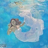 Ann's Photography Llc - Commercial Photography in Fort Mill