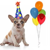 Pet Lover's Warehouse - Pet Stores in Florence