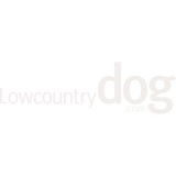 Dogstar Dog Running & Pet Care - Pet Services in Charleston