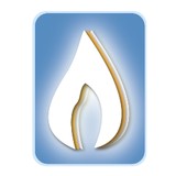 Low Country Specific Chiro - Chiropractors in Summerville