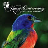 Kiaweh Island Natural Habitat - Other in Johns Island