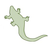 Low Country Dental Center - Dentists in Bluffton