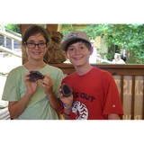 Greenville Gemstone Mine - Jewelry in Greenville