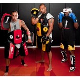 Standupfighter LLC - Other in Simpsonville