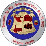 Berkeley County Info Tech - Other in Moncks Corner