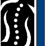 Dallas Lummus Tracy DC - Chiropractors in Conway